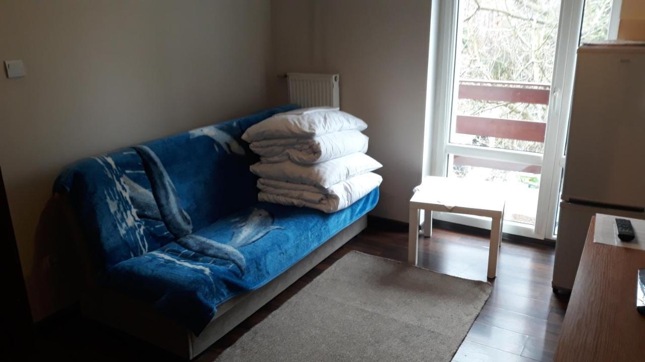 Apartamenty I Pokoje Przy Parku 耶莱尼亚古拉 外观 照片