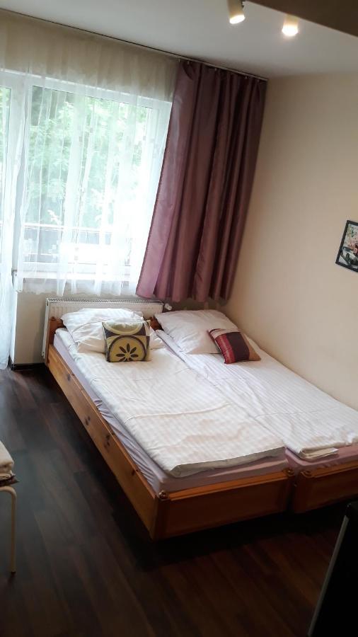 Apartamenty I Pokoje Przy Parku 耶莱尼亚古拉 外观 照片
