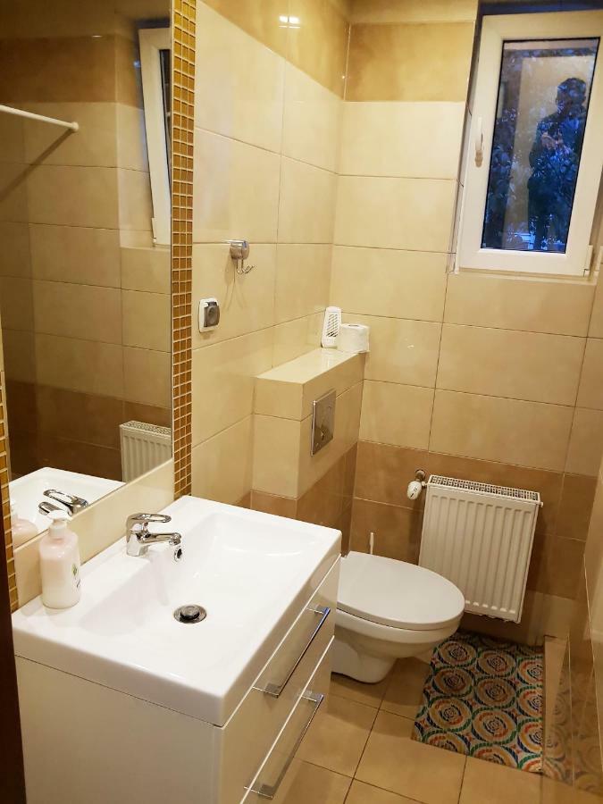 Apartamenty I Pokoje Przy Parku 耶莱尼亚古拉 外观 照片